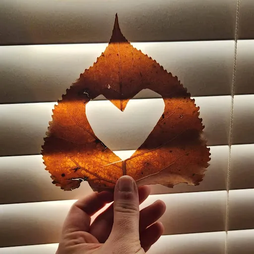 Naomi “Coffee and Tea” Young