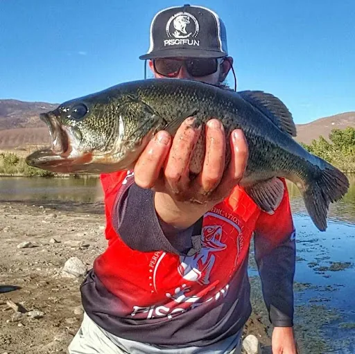 High Desert Fishing (NVTROUTBUM)