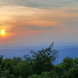 Johnseed McDanieldude