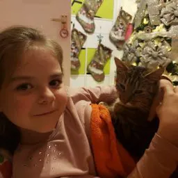 • ᴋᴀʀɪɴᴀ •