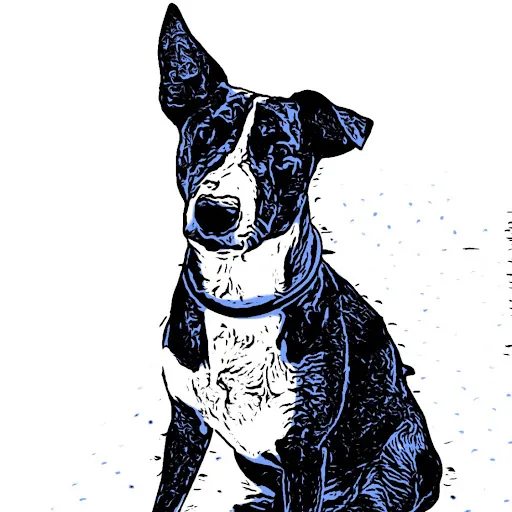 JeepGrl “JeepGrl”