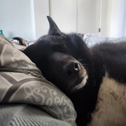 Kyle and Stacy Crane