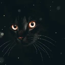 Heather Juliana-Estella Yasharahla