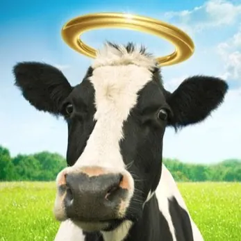 Stanley C. “Stan” Gourd