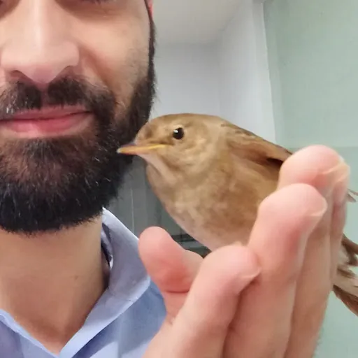 Al-Mothafar Al-Hasan