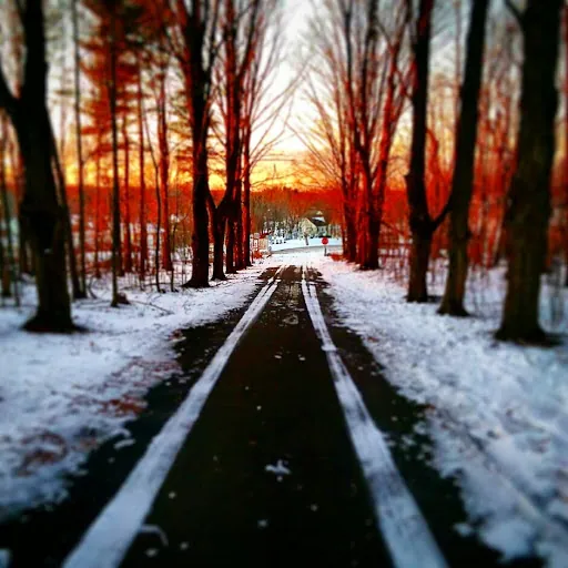 Salvatore Coraccio IV