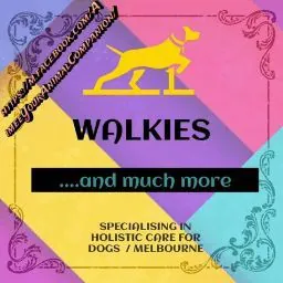 Aimee The Animal Companion