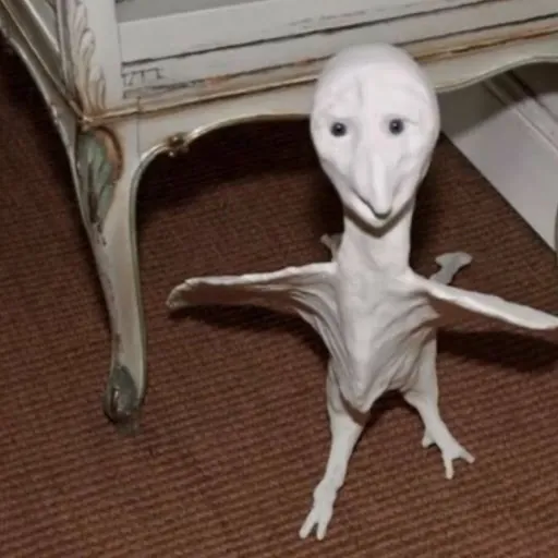 freakypie goodbob doodle