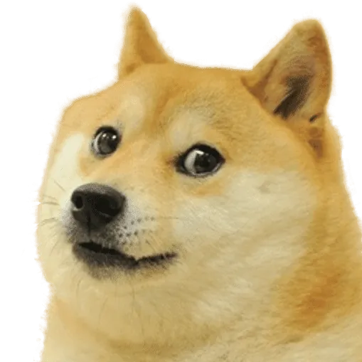 Doge Gaming