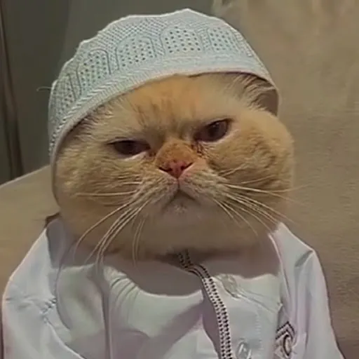 Muhammad Nausherwan Khan