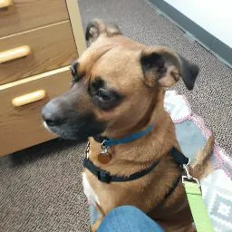 Jeremy Duckworth (Germy)