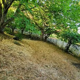 Andrew Fowler (Andrew Fowler)