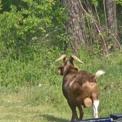 Erik Murillo pacheco