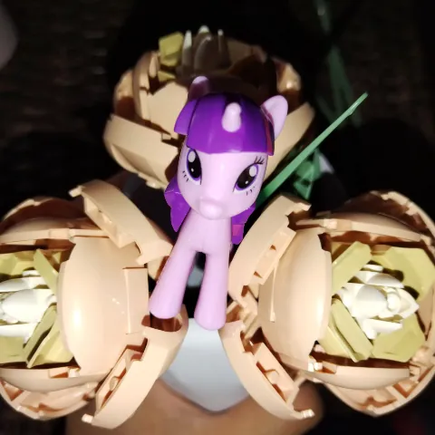 Gabriel Emiliano Hernandez Mesino