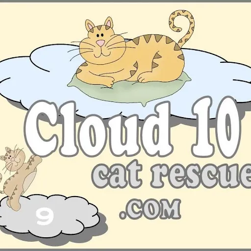 Cloud10CR
