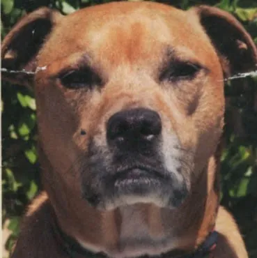 Antonio Roberto Rafael Gomez Gonzalez Lopez