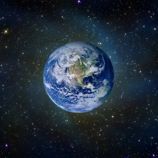 Michael Paisis (PofC)