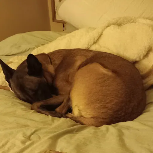 Lisa Moore-Williams (Sunshine)