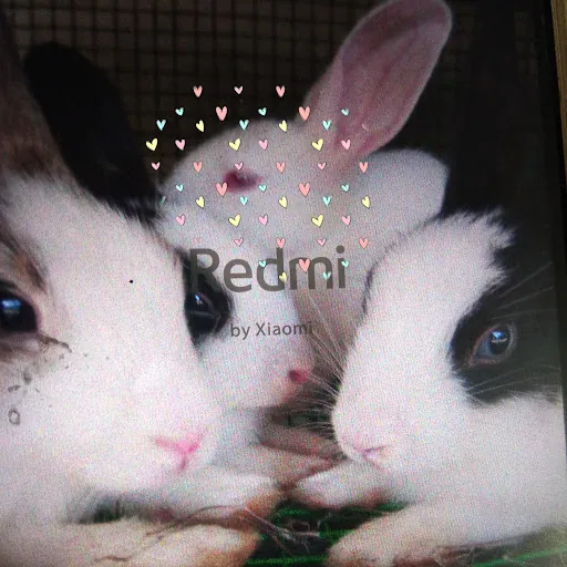 Green Temple Channel