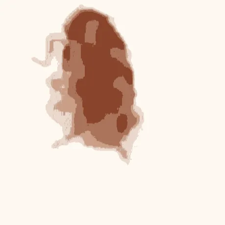 Nyck K (Lord Walrus of Swagatha)