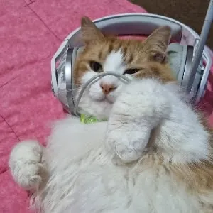 Arielle (HalcionDaze)