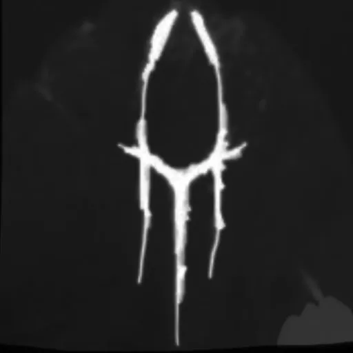 Wladislaus Dragwlya (Quantum Singularity)