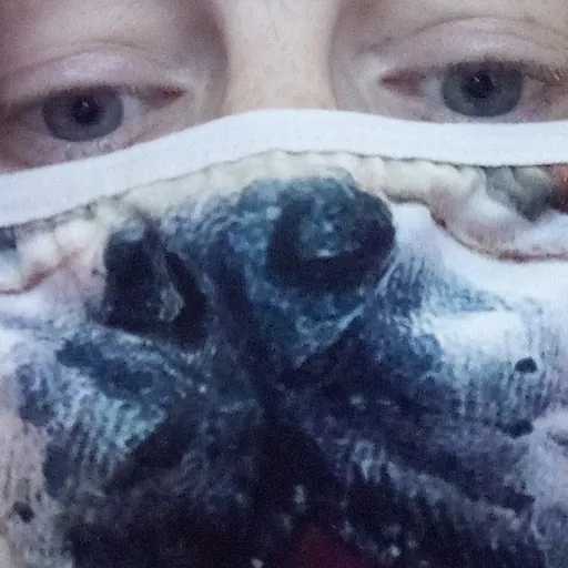 sophie Louise thornton