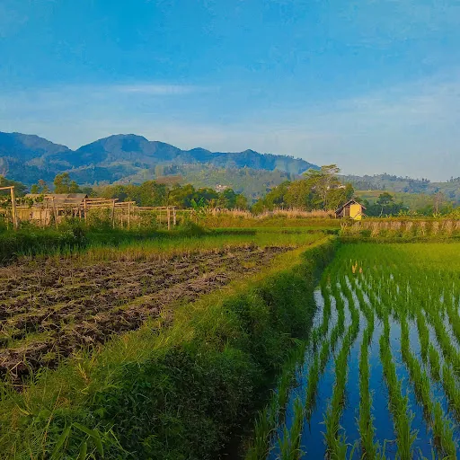 Fakhrul Mudzakkir Shiddiq