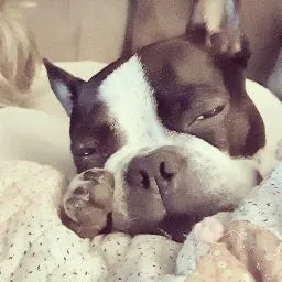 S C (GooberTheKrogan)