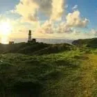 JcLuvsMargy Volavola