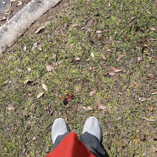 FLYFoxiCreations Sha Watha