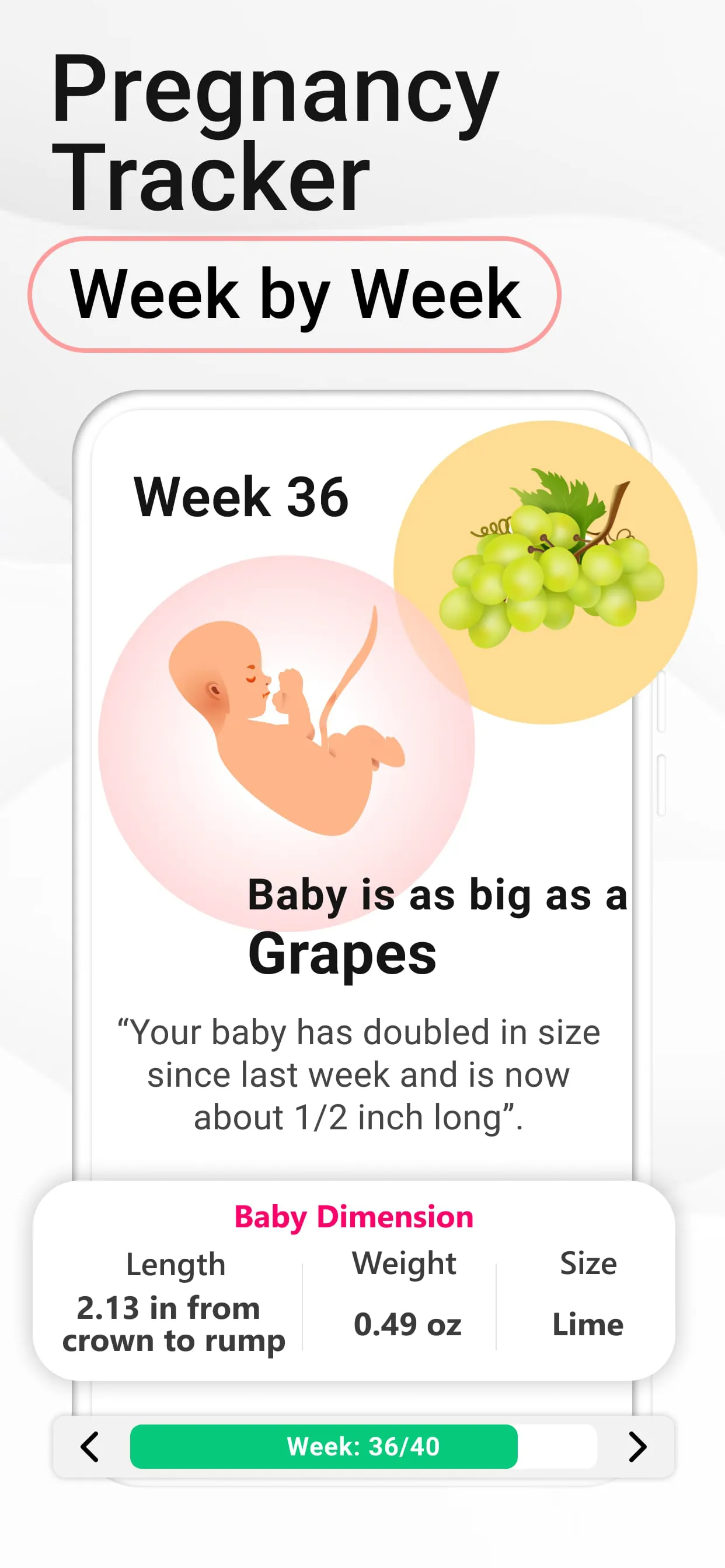 Pregnancy Calculator: Due Date