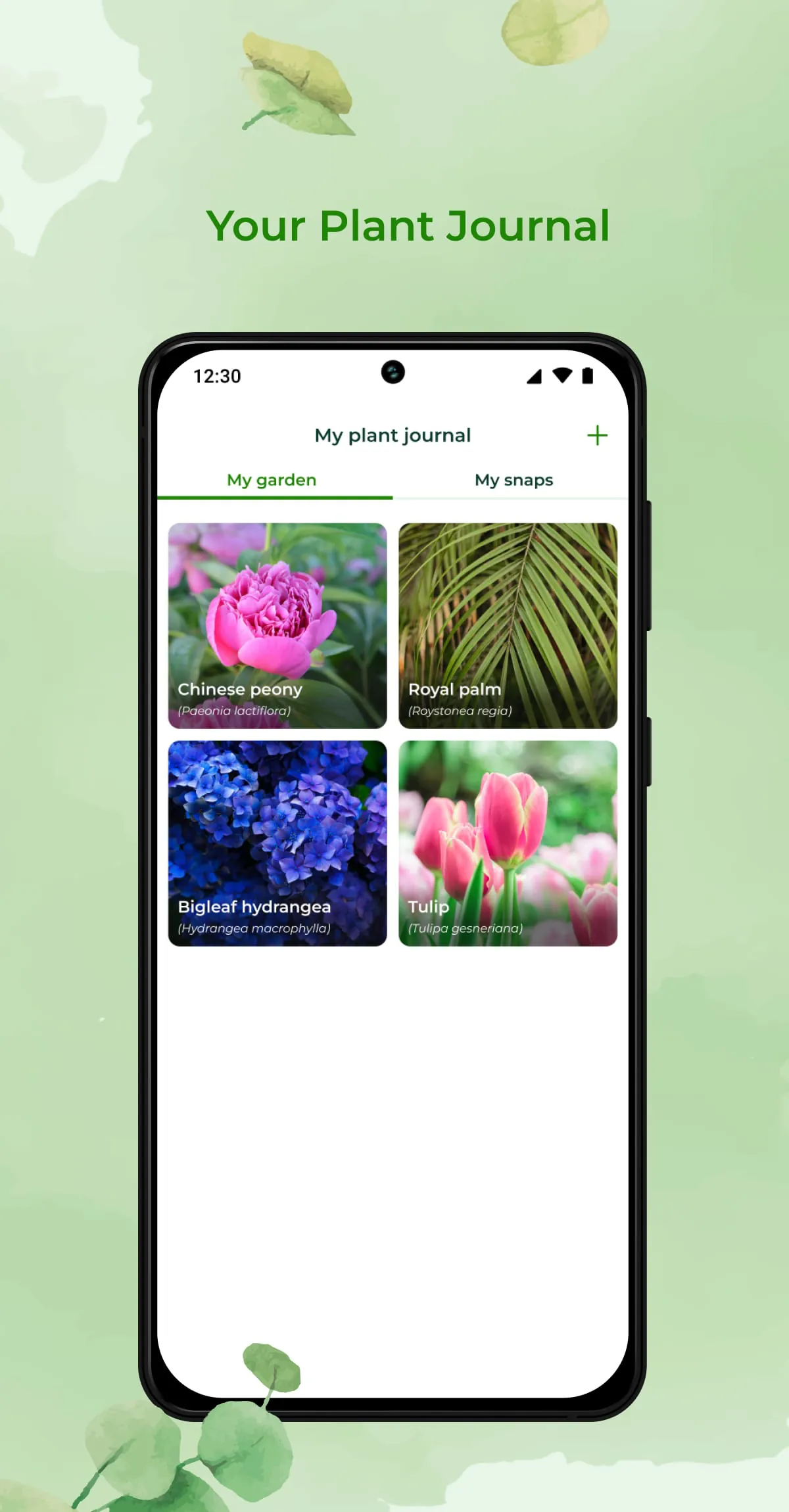 PlantSnap: plant identifier