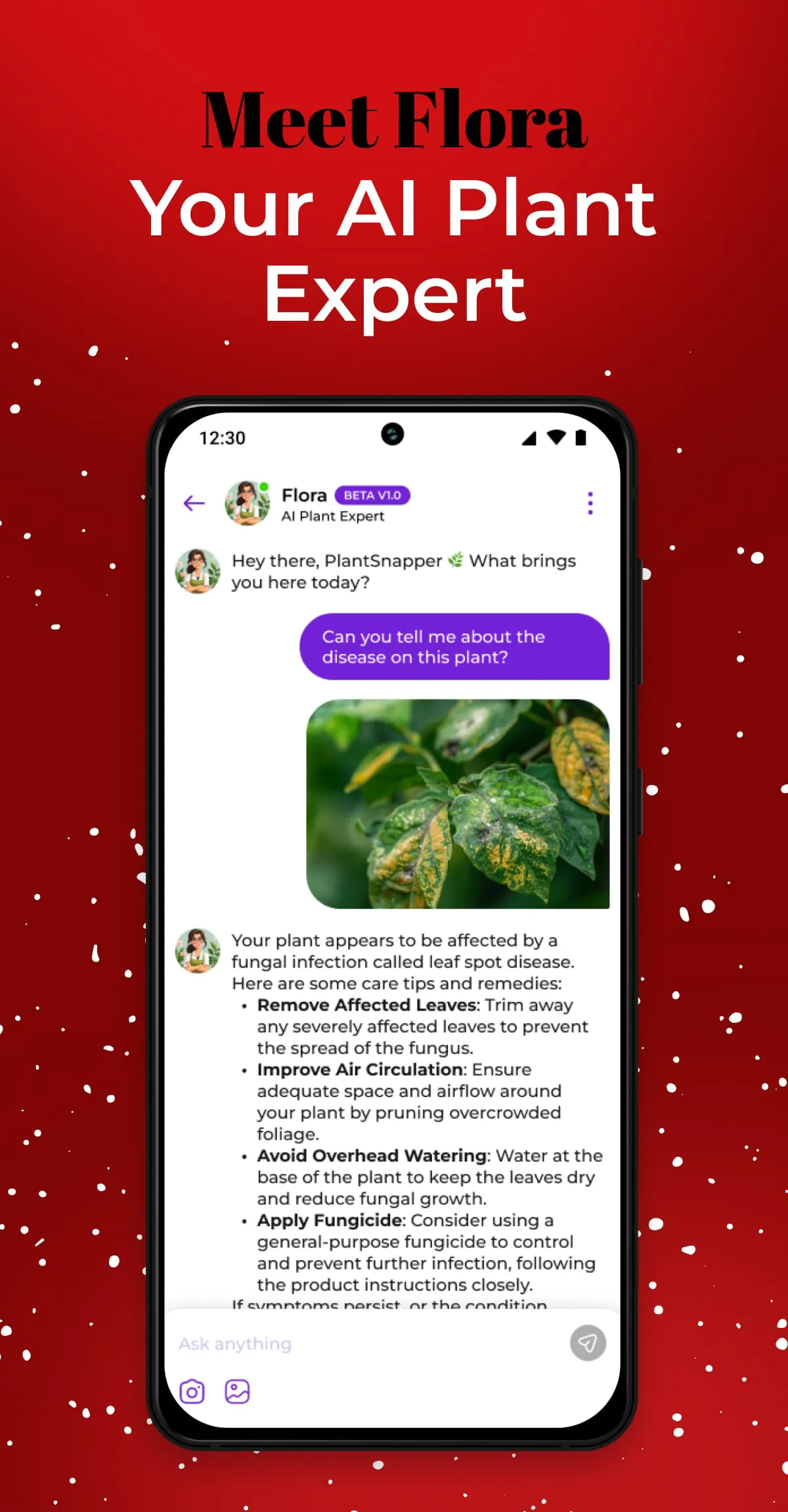 PlantSnap: plant identifier