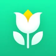 Plant Parent: Plant Care Guide