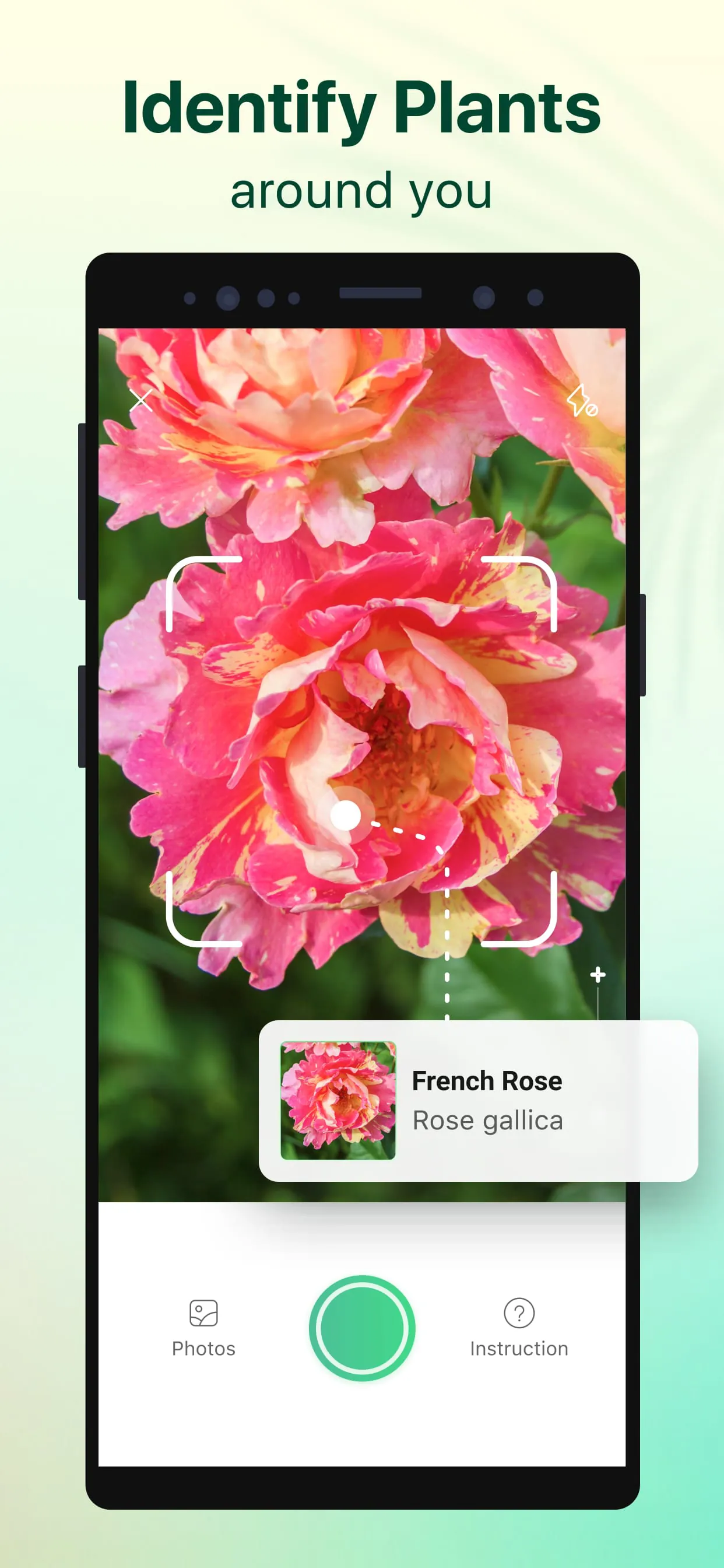 Plant Parent: Plant Care Guide