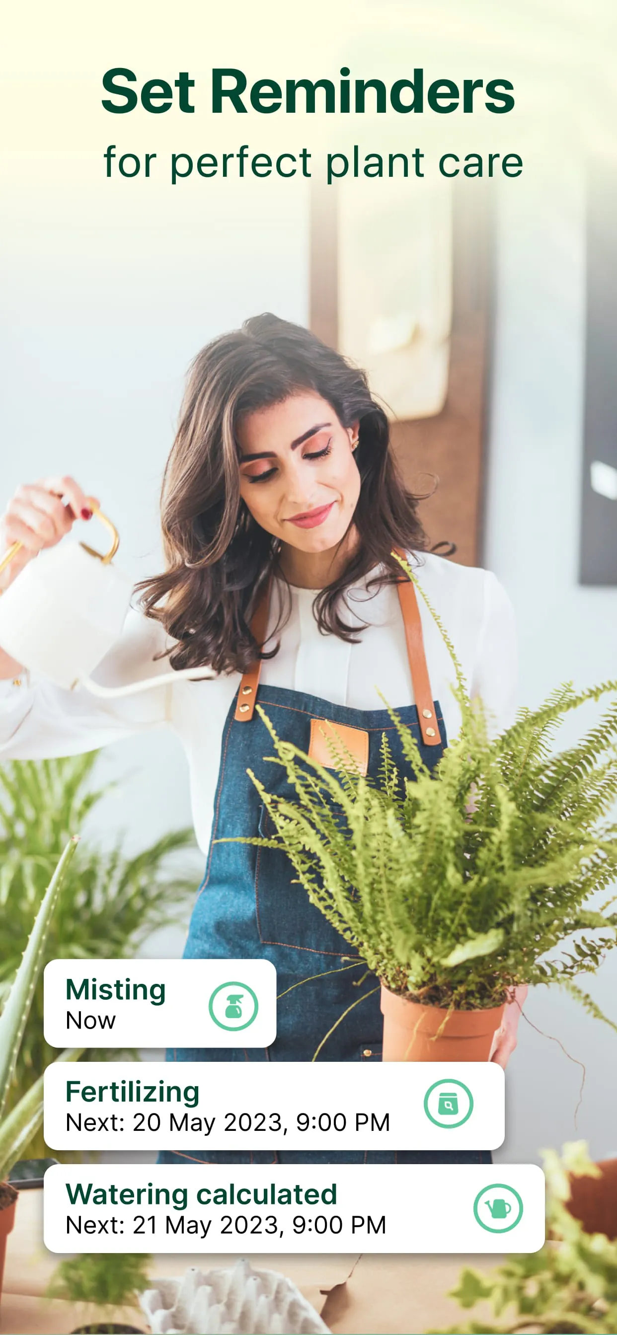 Plant Parent: Plant Care Guide