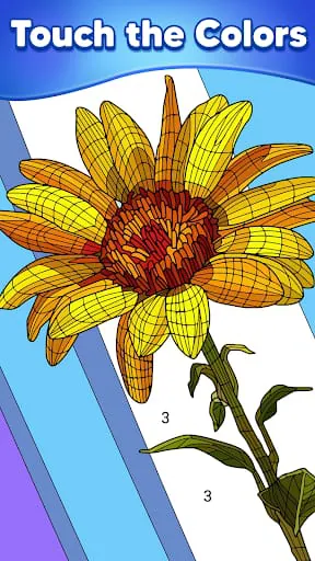 Color By Number - Color Match