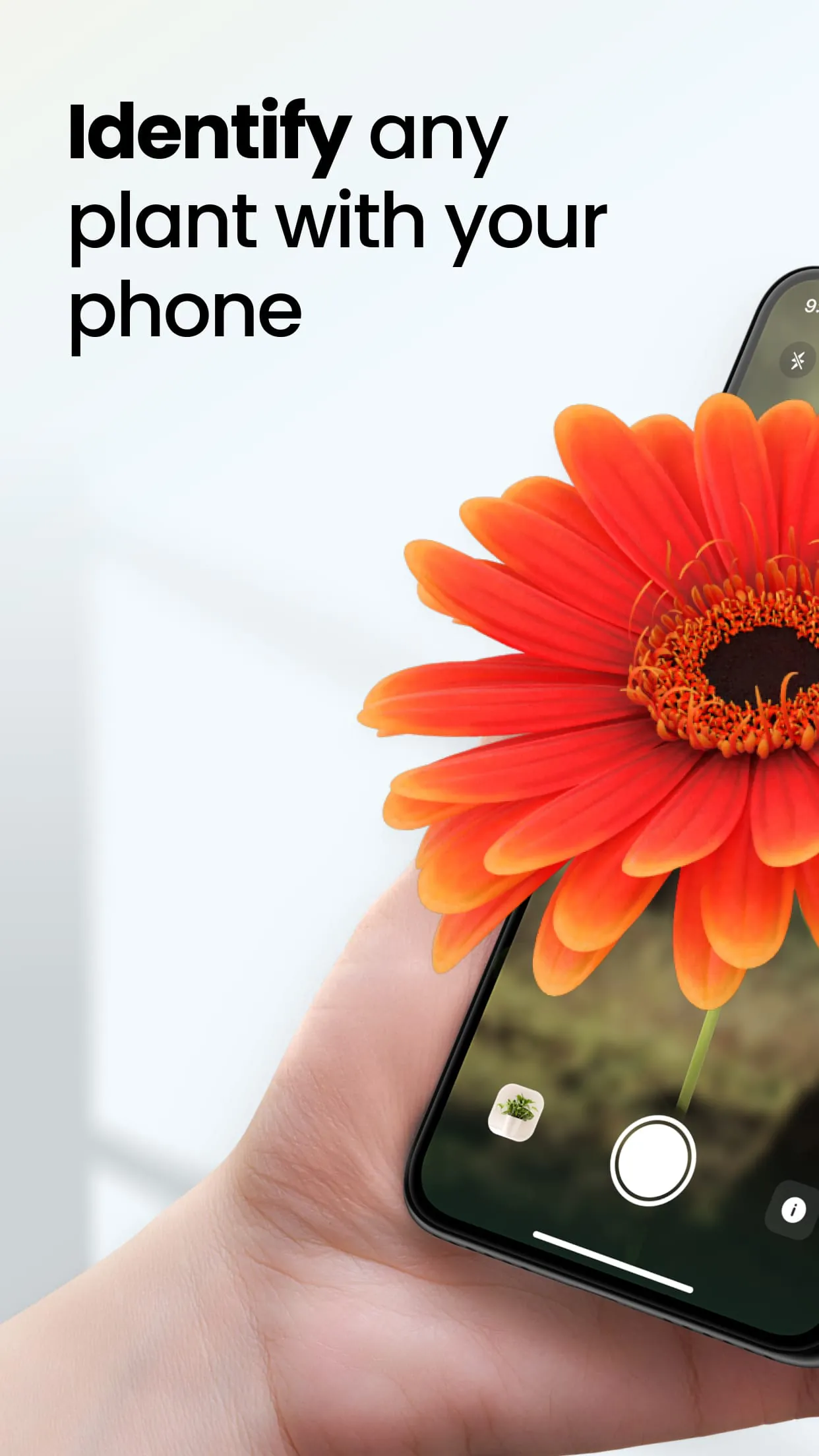 Plant App - Plant Identifier