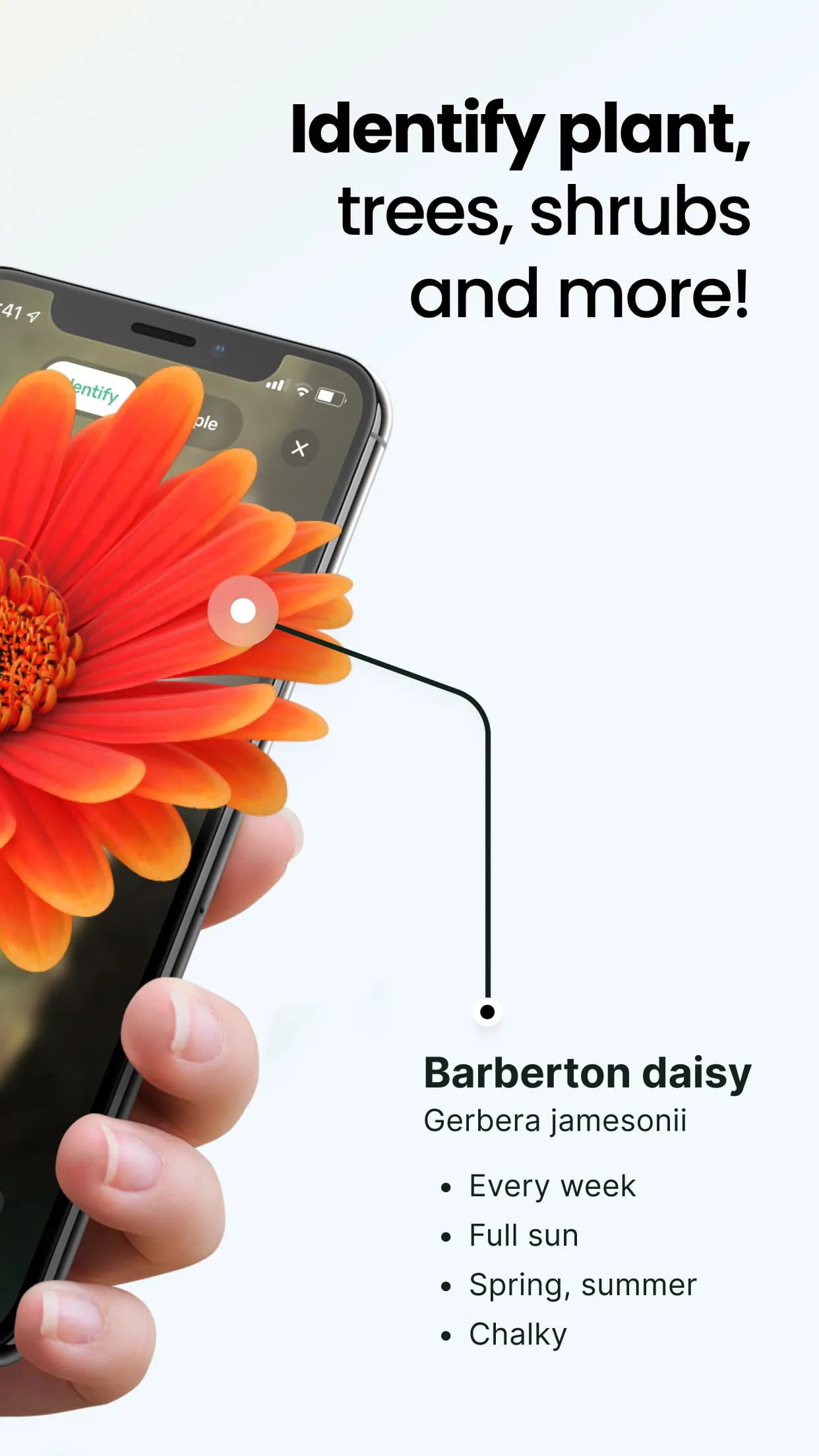 Plant App - Plant Identifier