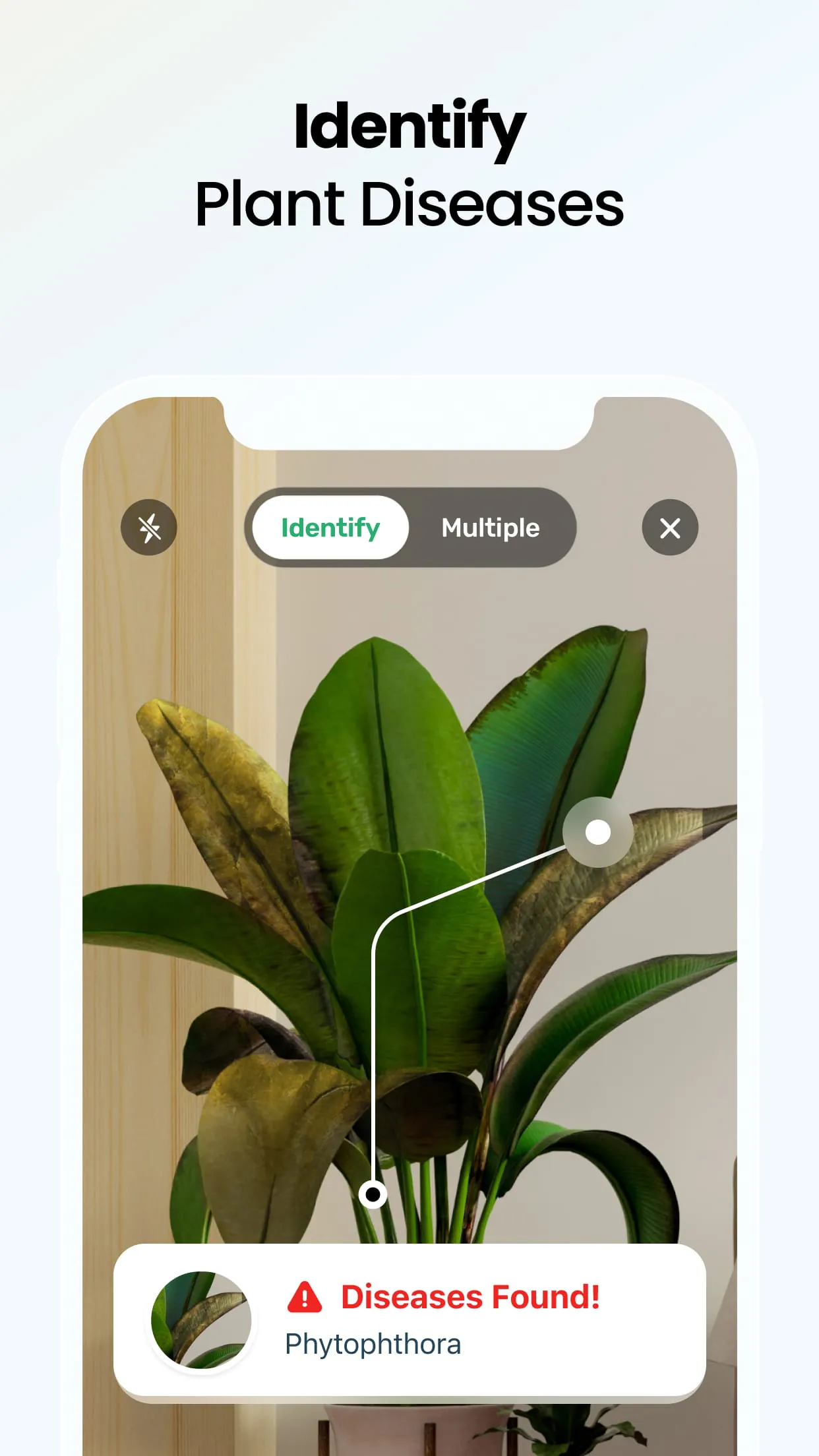 Plant App - Plant Identifier