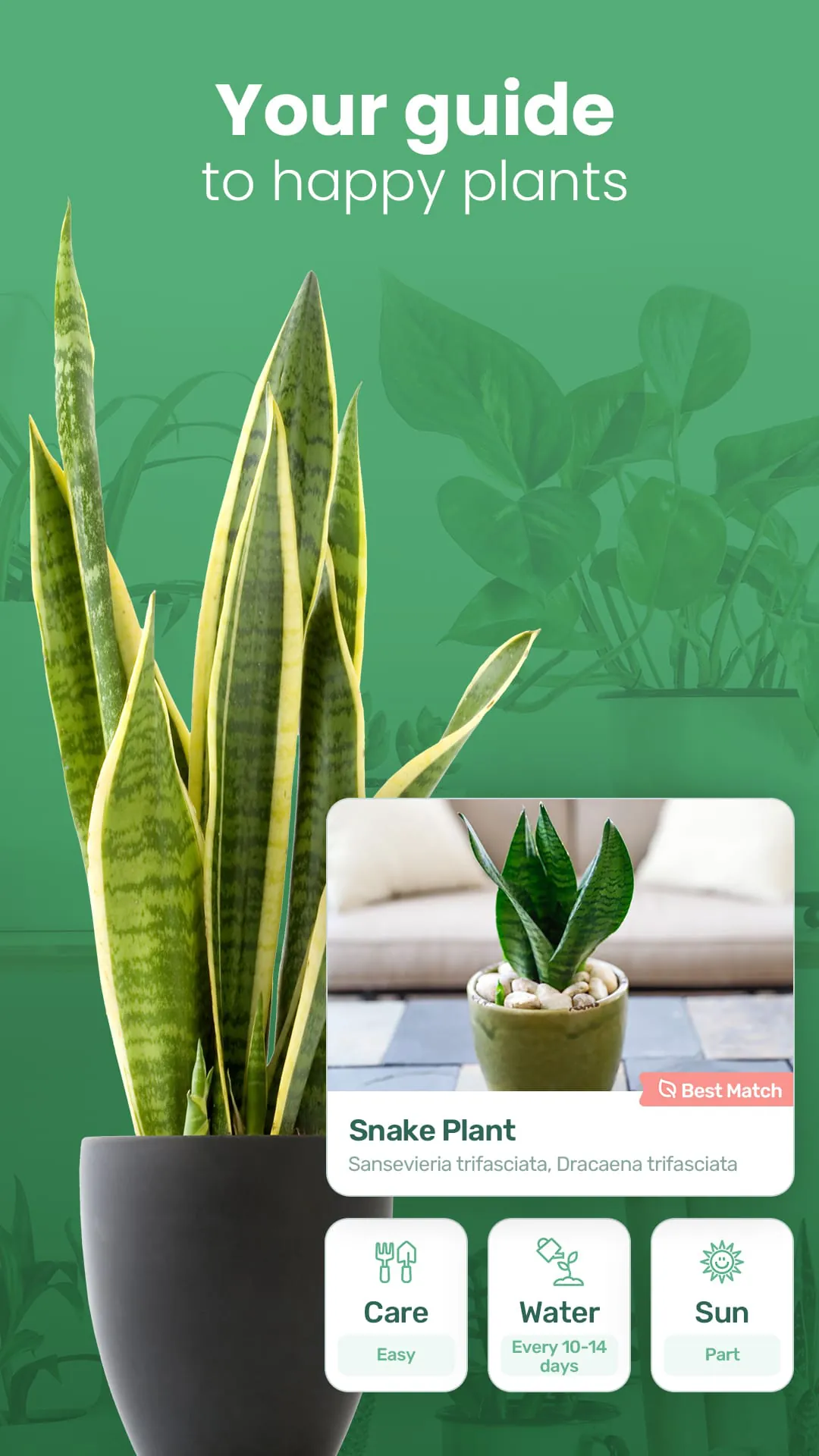 Blossom - Plant Identifier