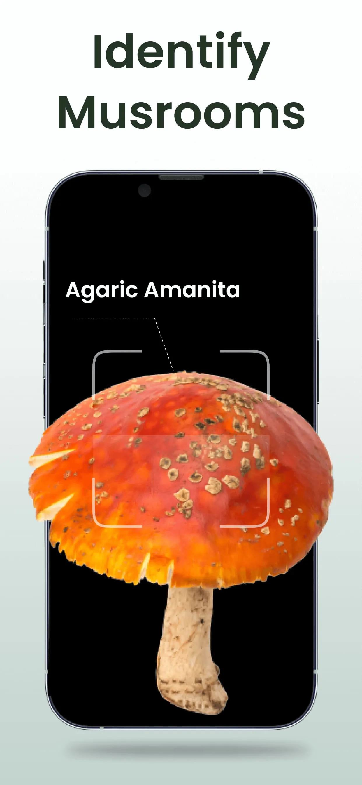 Plant Identifier: Plantiary