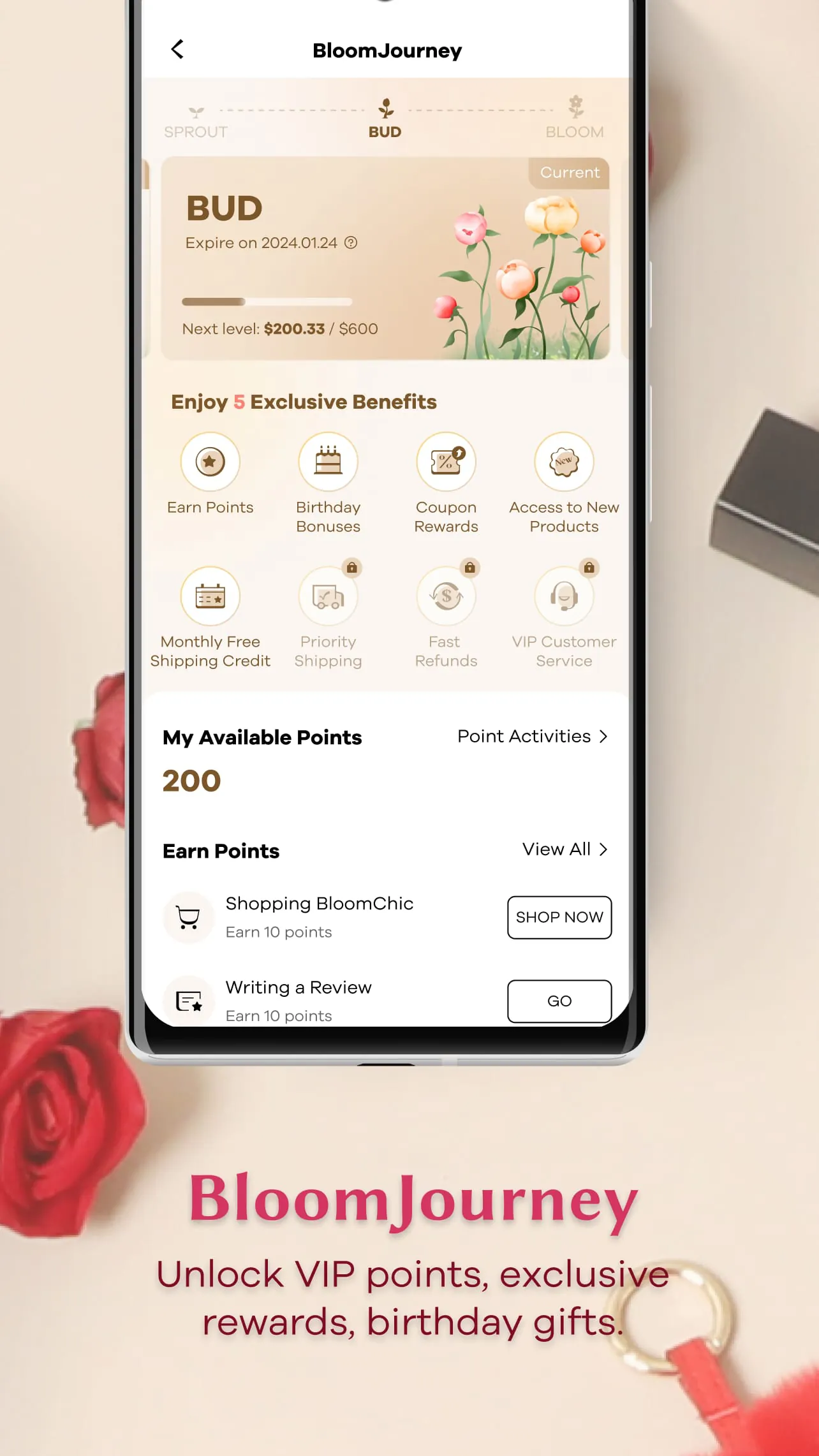 BloomChic | A Re-Imagining