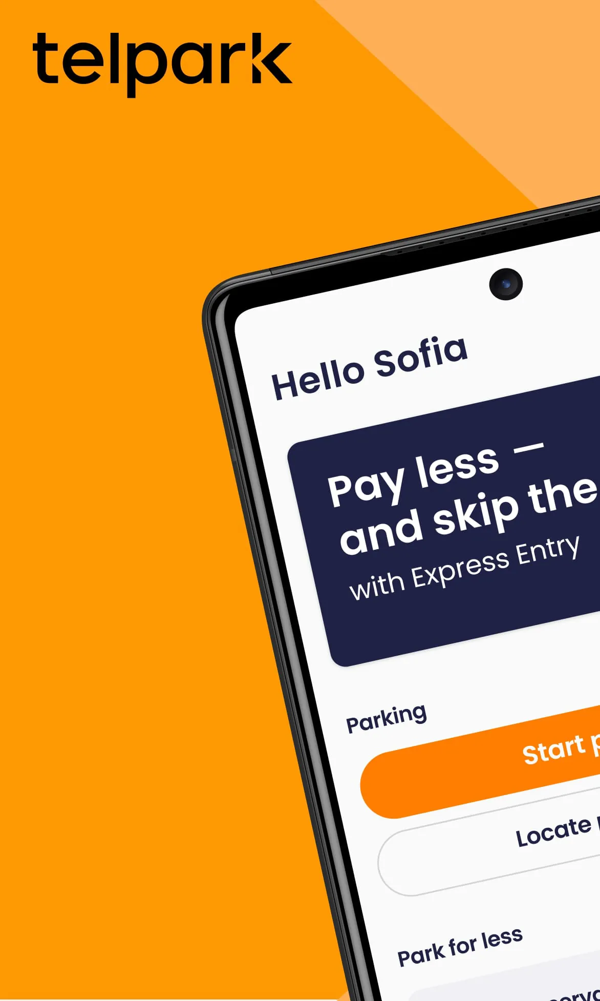 Telpark Personal parking meter