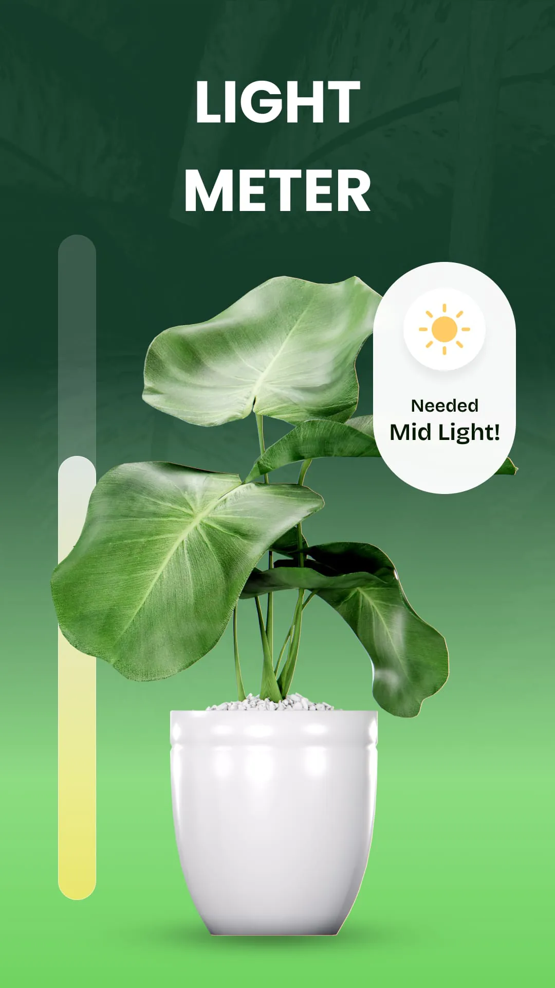 Garden Genie: Plant Identifier