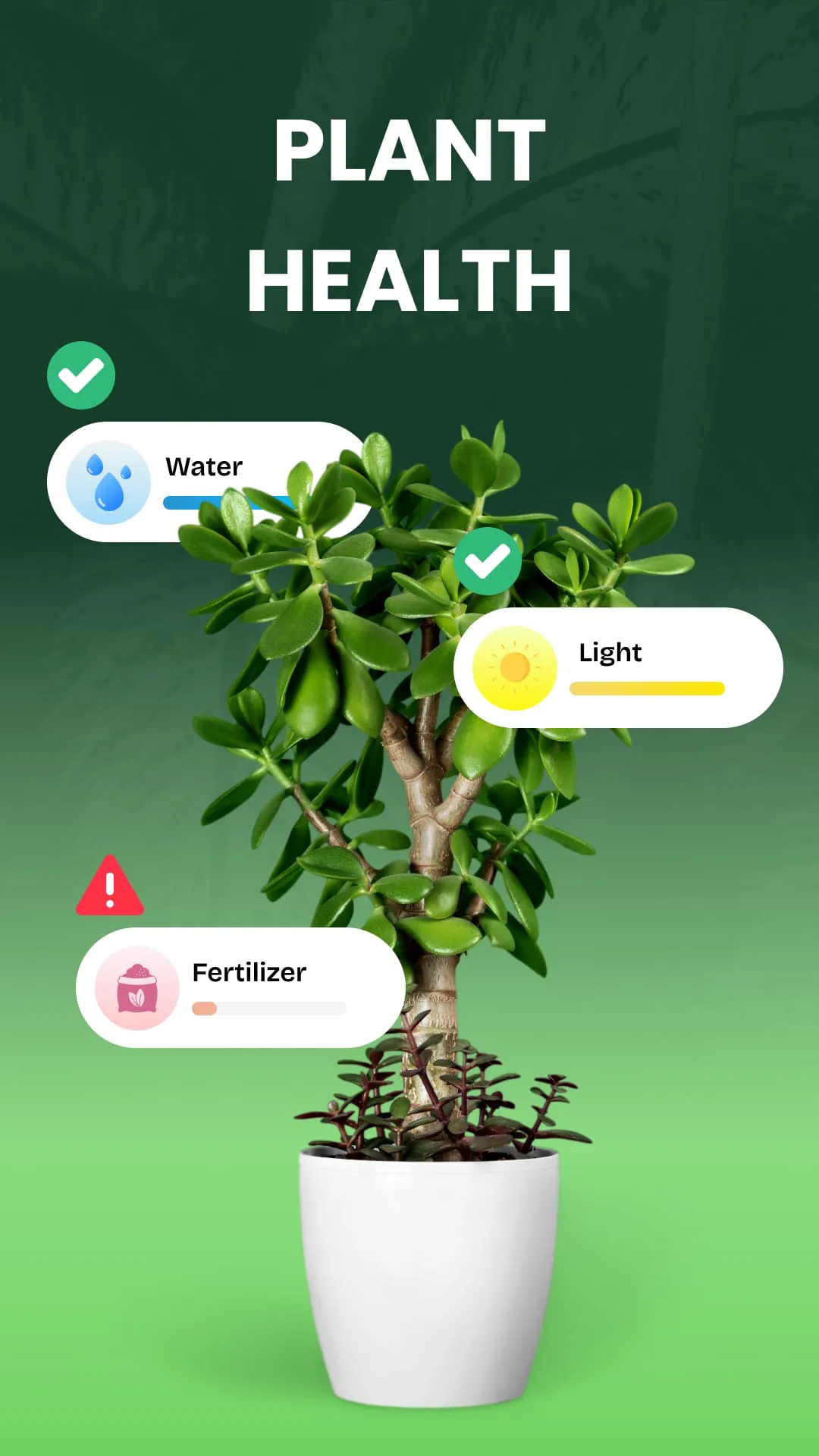 Garden Genie: Plant Identifier