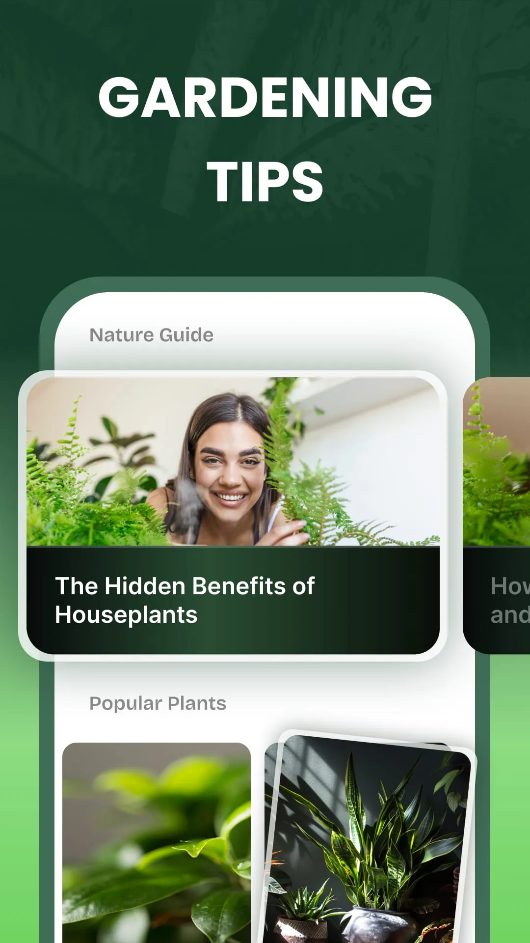 Garden Genie: Plant Identifier