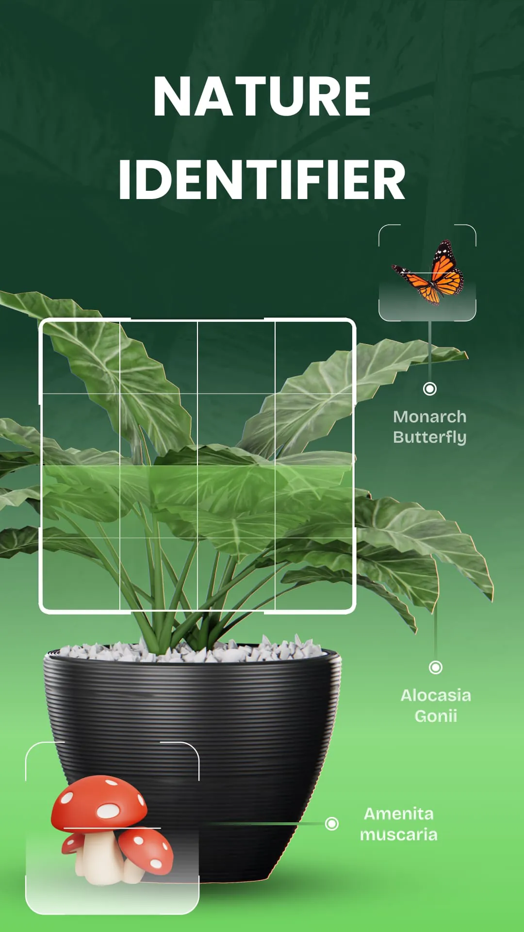 Garden Genie: Plant Identifier