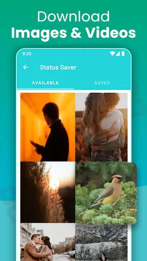 Web Scan Tool - Dual Accounts